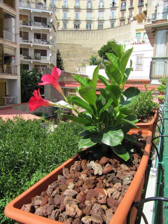 Viola'S Home Napoli Ngoại thất bức ảnh